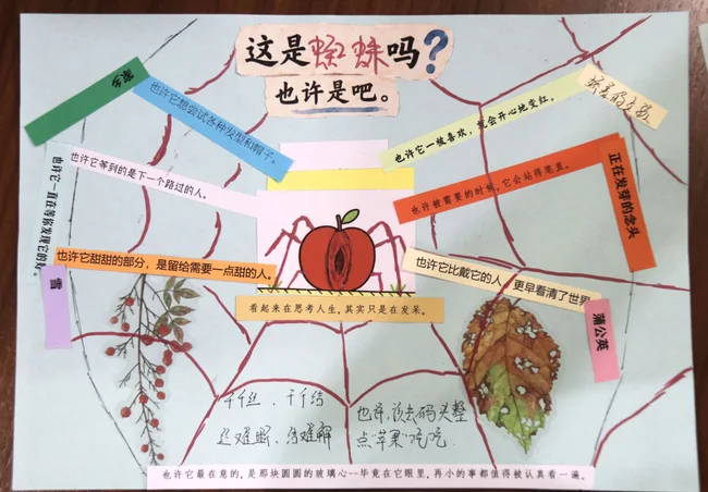 参与者的横版作品：这是蜘蛛吗？手绘红色蛛网、苹果蜘蛛与文字纸条