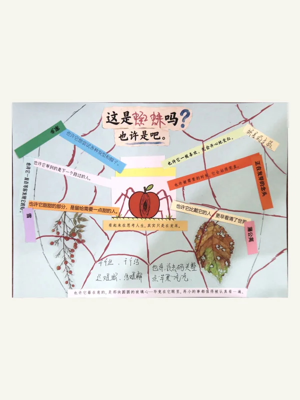 参与者的横版作品:这是蜘蛛吗?手绘红色蛛网、苹果蜘蛛与文字纸条